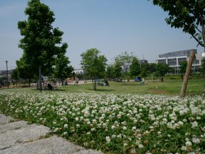 公園