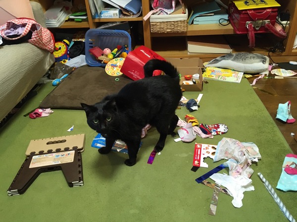 散らかり放題の部屋