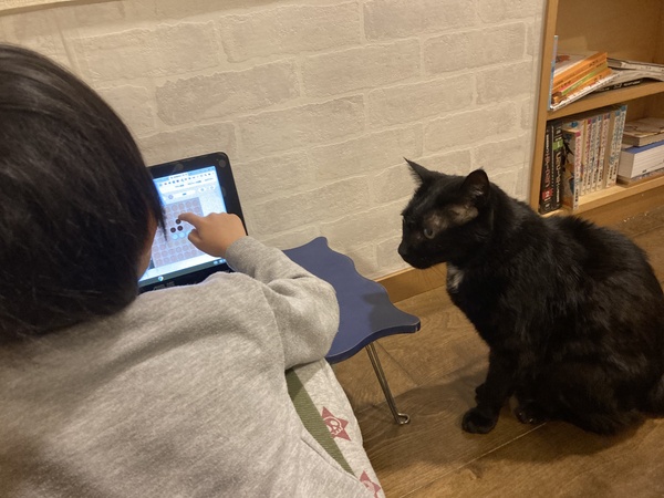 クラウティのゲームレッスンをする子供と見ている猫